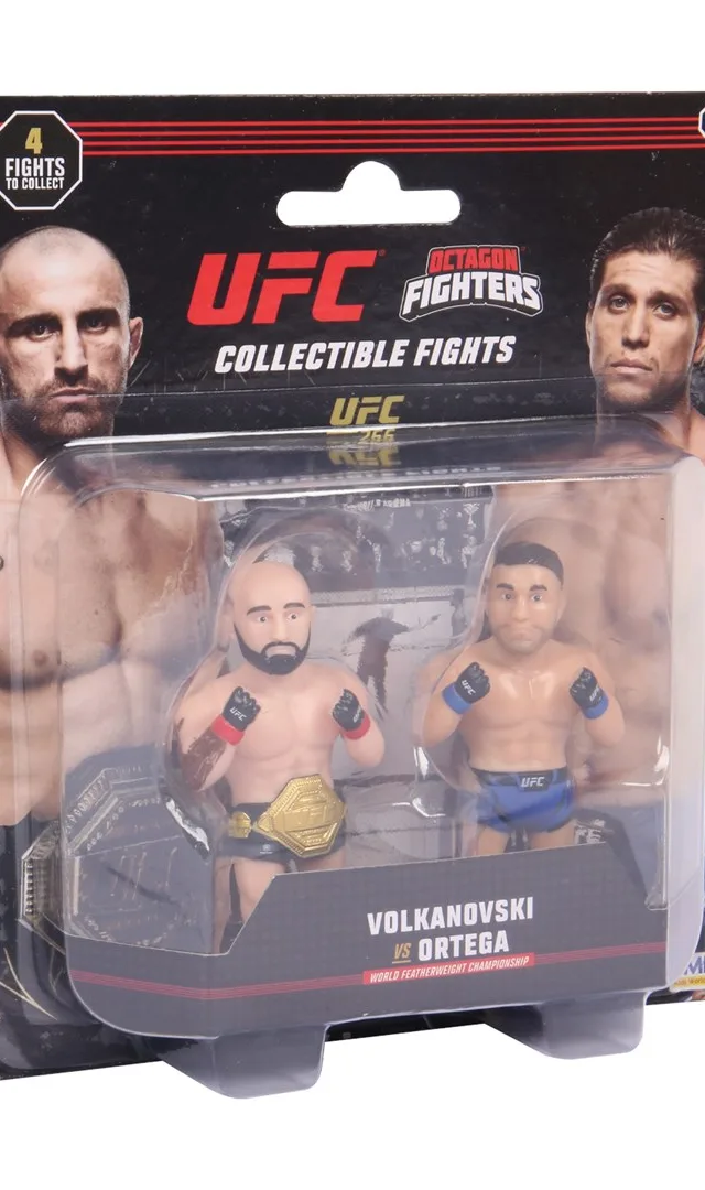UFC2020B