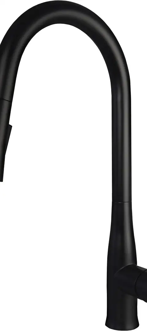 Kitchen Faucet With Pull-Out Spout