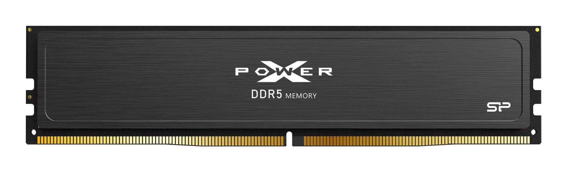 Silicon Power XPOWER Pulse memory module 32 GB 1 x 32 GB DDR5 6000 MT/s 288-pin DIMM ECC