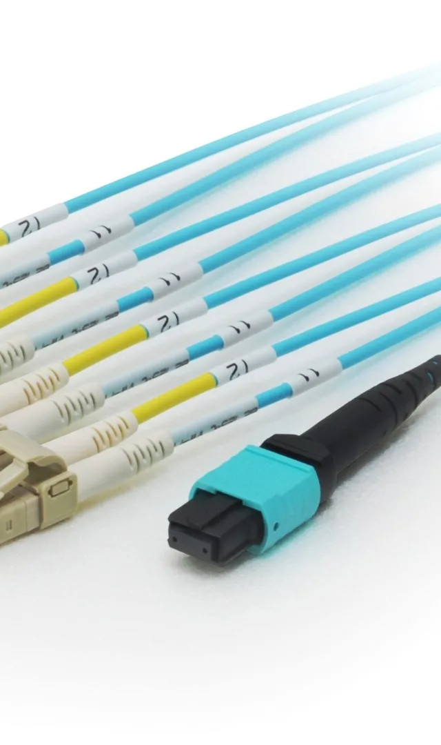 Equip MTP/MTP Trunk Fiber Optic Patch Cable, OM4, 7m