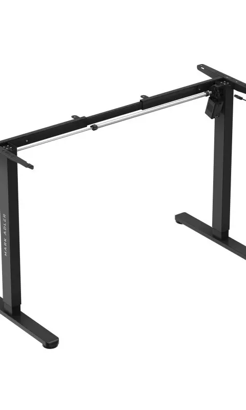 Xeno 2.1 Electric Bas