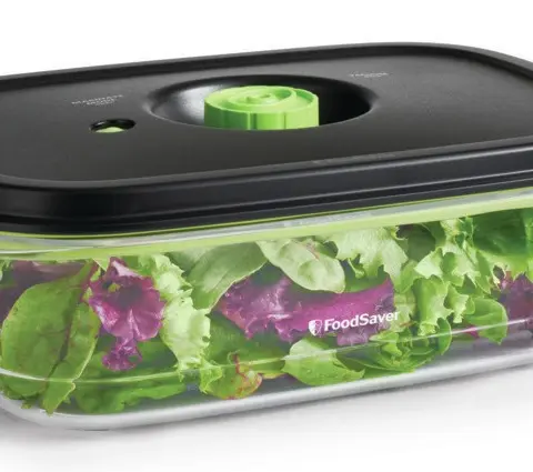 FoodSaver FFC024X food storage container Rectangular Box 2.3 L Transparent 1 pc(s)