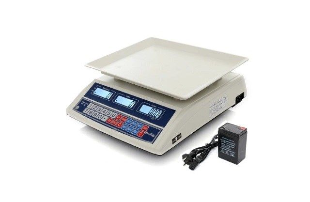 ELECTRONIC SCALE WT-100 40KG