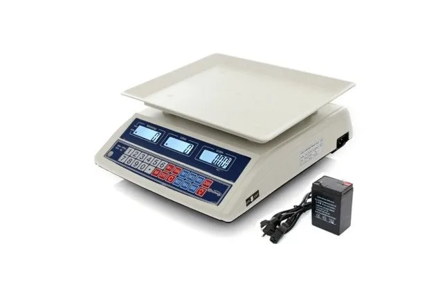 ELECTRONIC SCALE WT-100 40KG