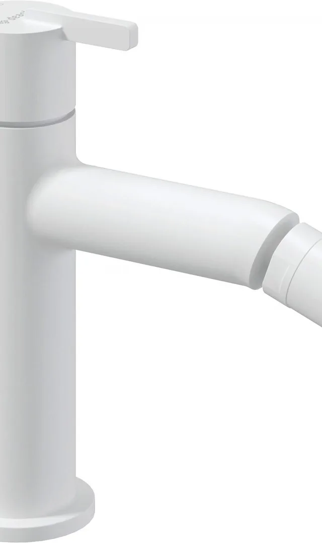 Bidet Faucet