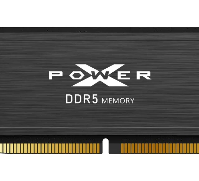 Silicon Power XPOWER Pulse memory module 32 GB 2 x 16 GB DDR5 6000 MT/s 288-pin DIMM ECC
