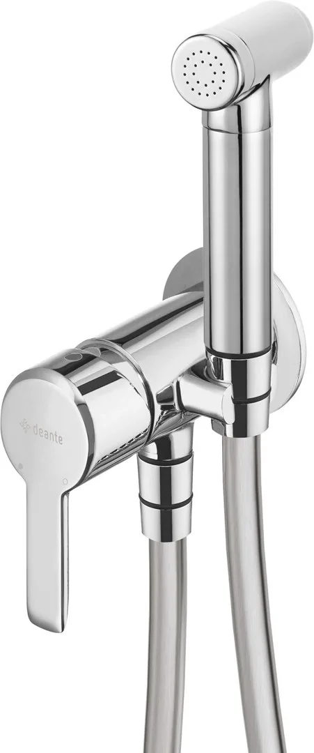 Concealed Bidet Mixer With Bidetta Shower Head
