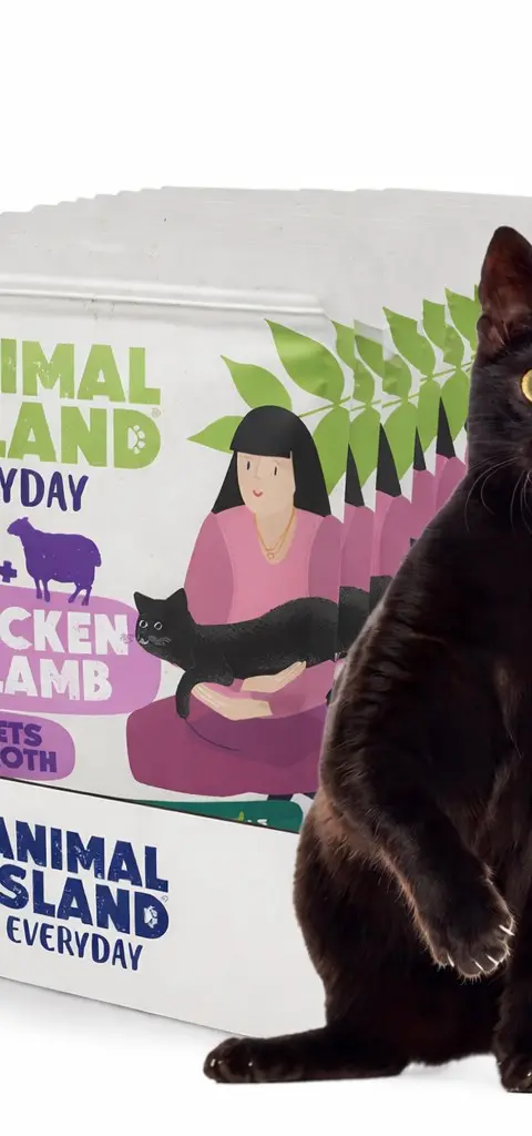 ANIMAL ISLAND Chicken With Lamb Fillets In Broth - Wet Cat Food - 12x85g