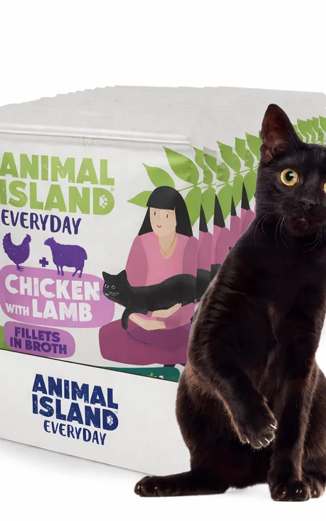 ANIMAL ISLAND Chicken With Lamb Fillets In Broth - Wet Cat Food - 12x85g
