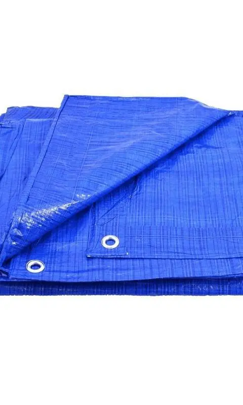 AWTOOLS AW68021 Tarpaulin