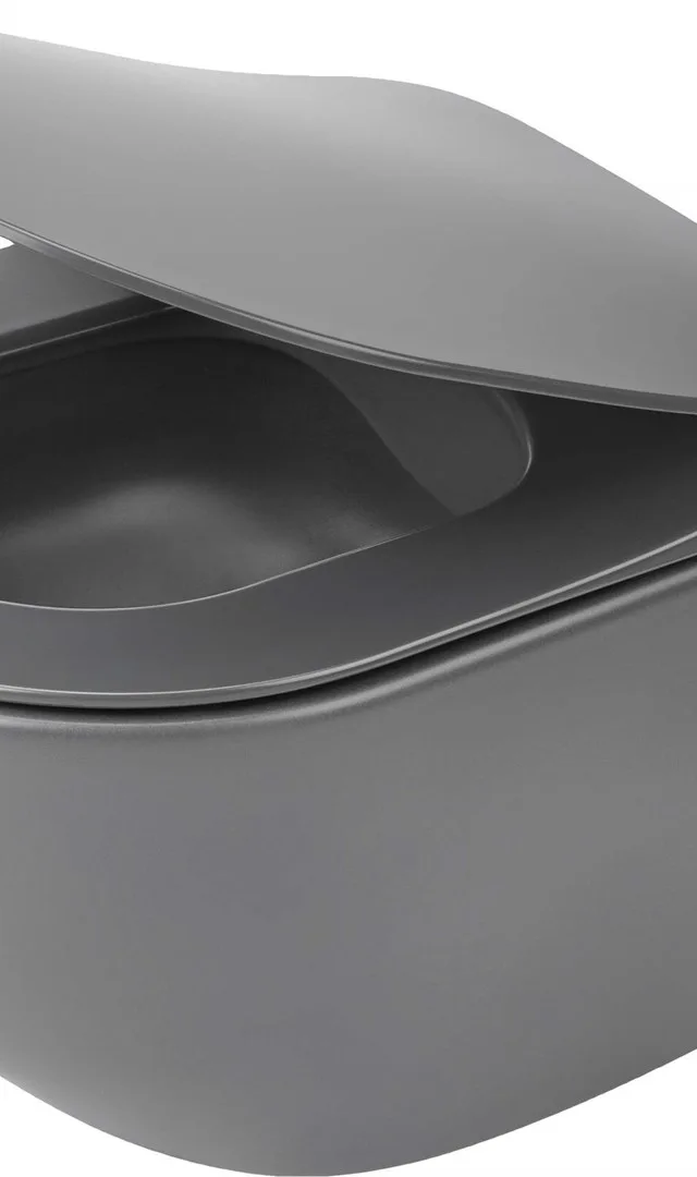 Rimless Wall-Hung Toilet