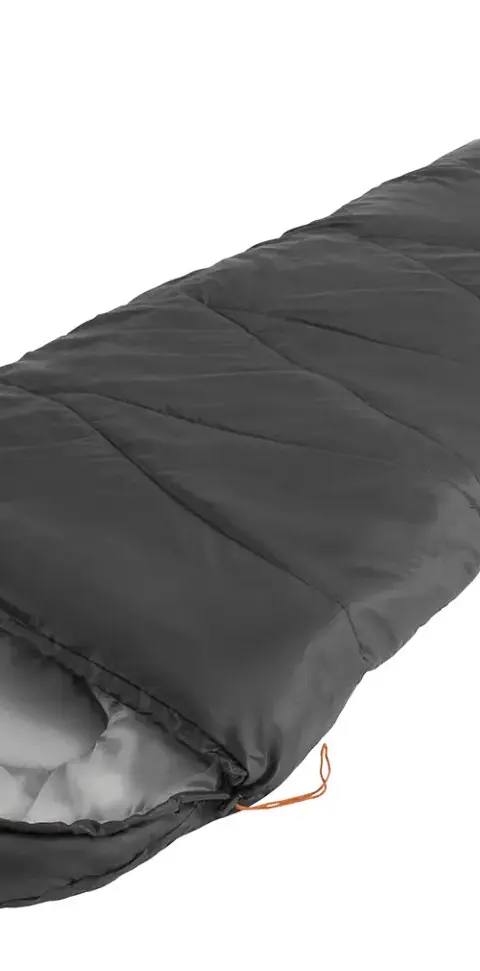 Easy Camp 240201 sleeping bag Adult Mummy sleeping bag Polyester Black