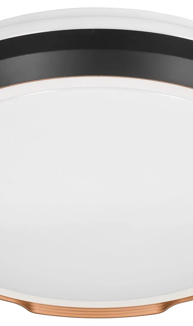 Activejet LED Ceiling Light AJE-PETRUS 24W