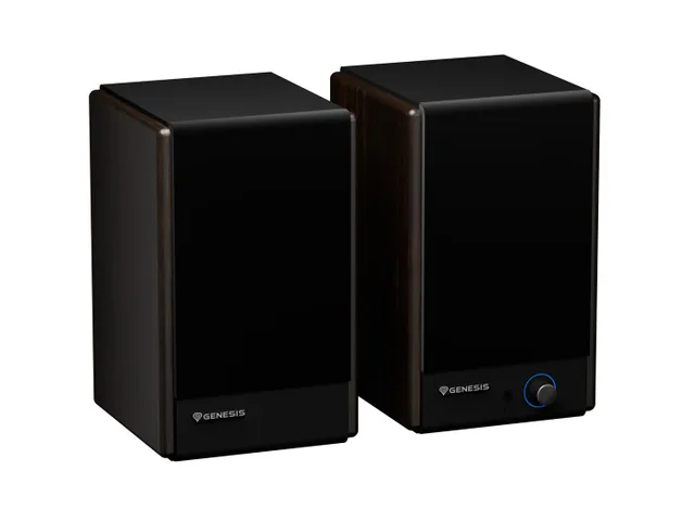 GENESIS ARSEN 402BT 2-way Bronze Wired & Wireless 60 W