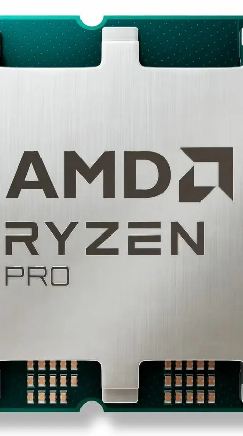 AMD Ryzen 5 PRO 8500G processor 3.5 GHz 16 MB L3 Tray