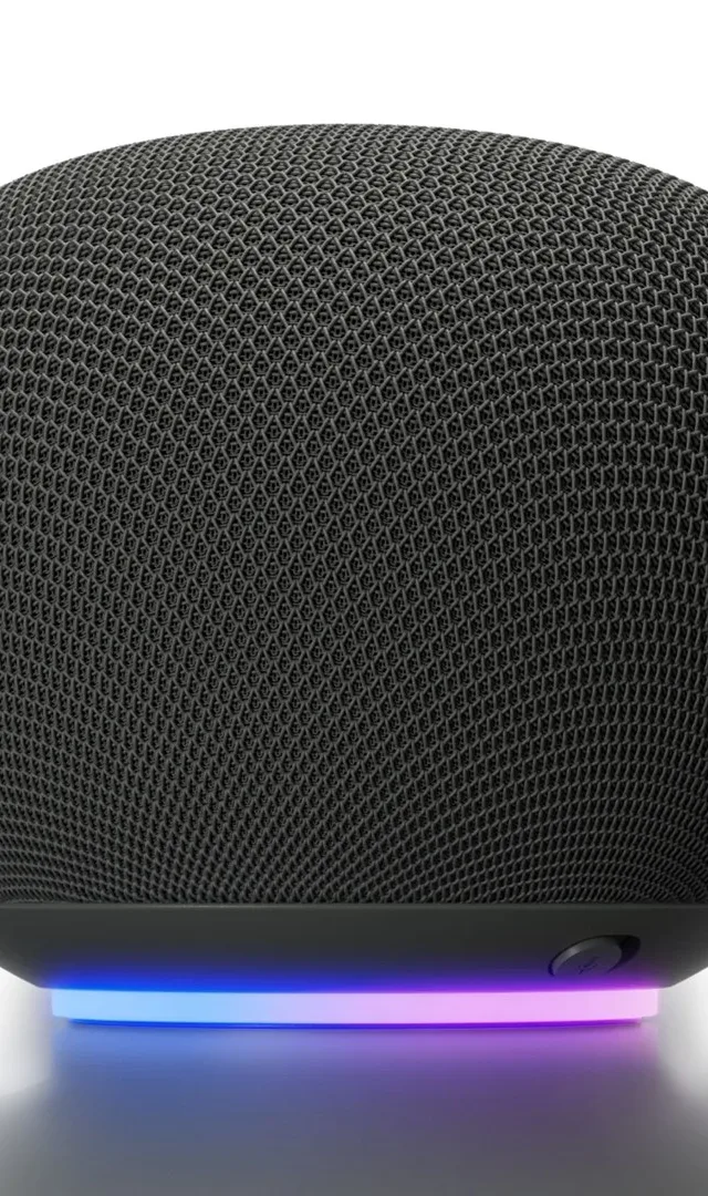 Google Home Grey