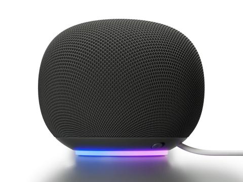 Google Home Grey