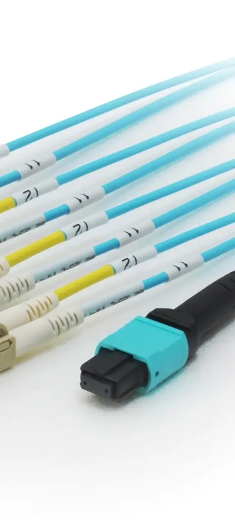 Equip MTP/MTP Trunk Fiber Optic Patch Cable, OM4, 5m