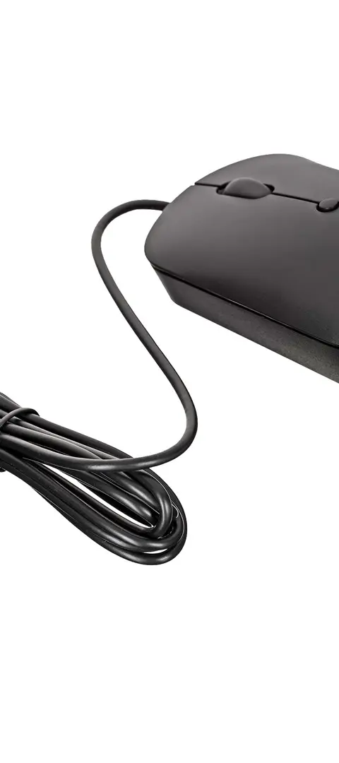 Lenovo GY51D20875 mouse Office Ambidextrous USB Type-C Optical 2400 DPI
