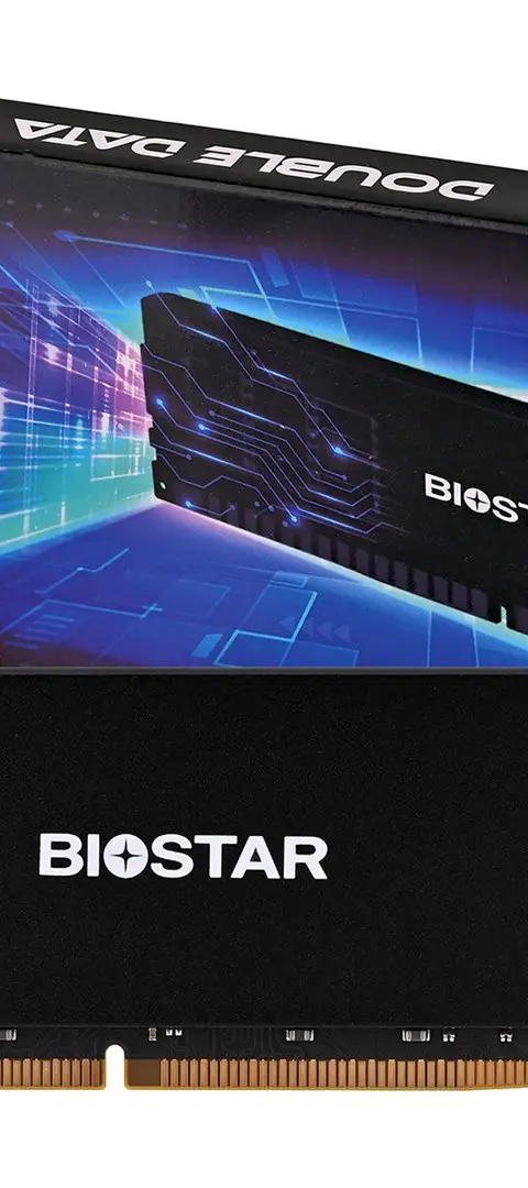 Biostar DDR4 Storming V Memory Module 8 GB 1 X 8 GB 3200 MHz (DX32NU4H08)