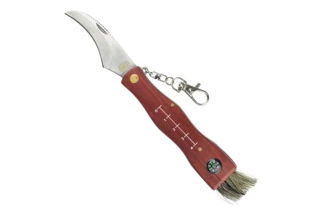 SCK Mushrooms CC-GC105 Mushroom Maker'S Knife With Compass Brown