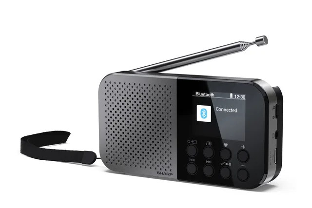 Sharp DR-P520 Personal Digital Grey