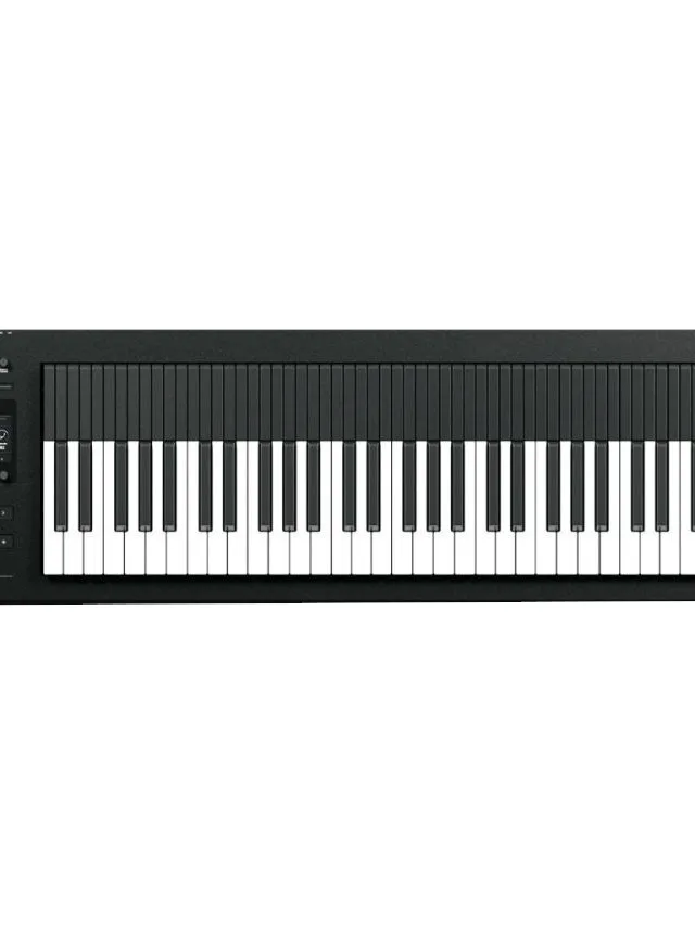 Expressive E Osmose 61 - Synthesizer MPE MIDI Controller MIDI Controller