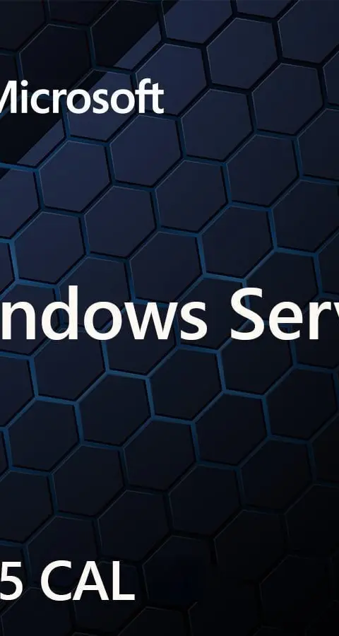 Microsoft Windows Server CAL 2025 1 license(s)