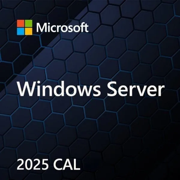 Microsoft Windows Server CAL 2025 1 license(s)