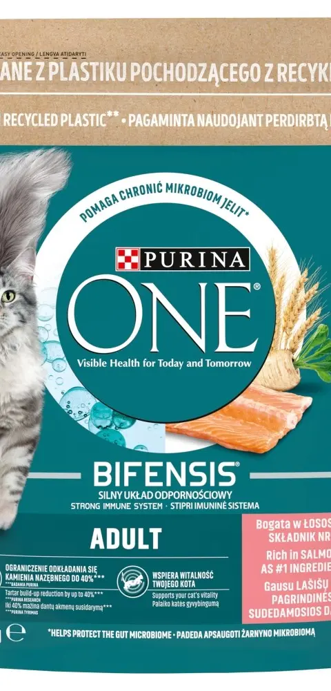 PURINA One Bifensis Adult Salmon - Dry Cat Food - 800 G