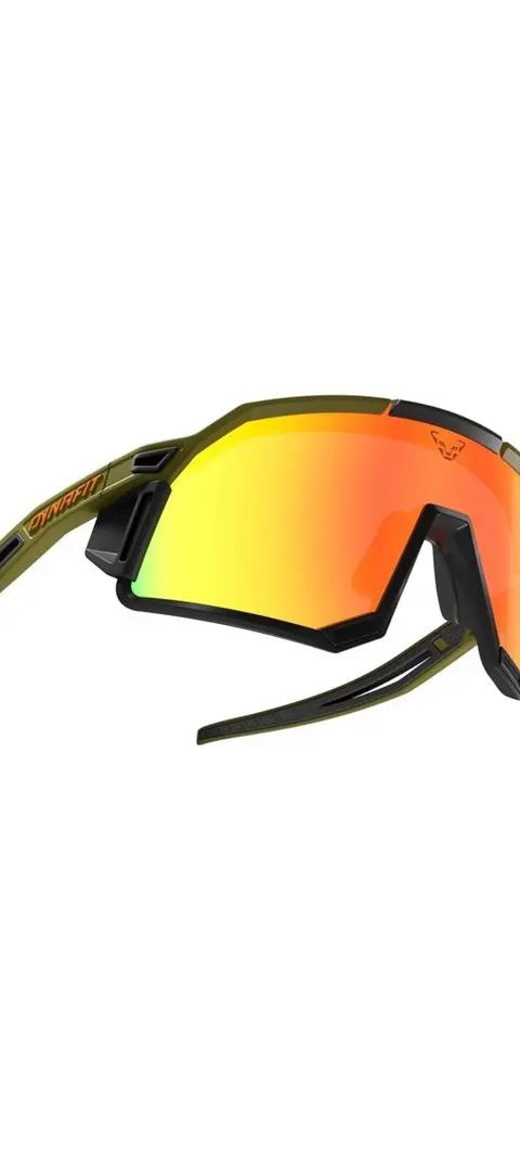 DYNAFIT Glasses Sky Evo-Winter Moss-Dawn