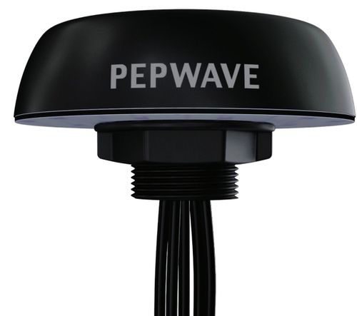 Peplink Mobility 40G network antenna MIMO directional antenna N-type 7 dBi