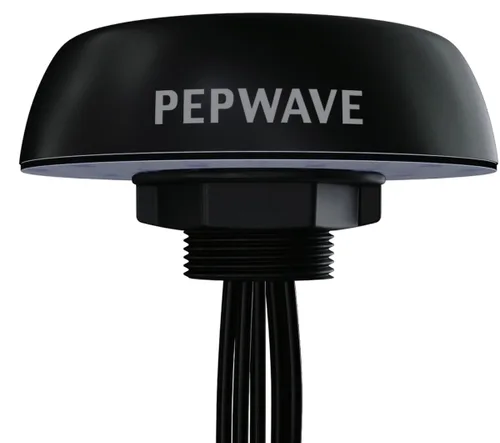 Peplink Mobility 40G network antenna MIMO directional antenna N-type 7 dBi