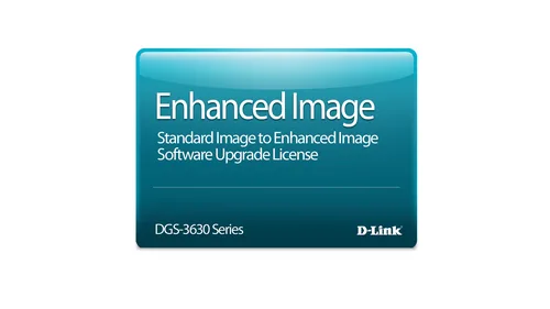 D-Link DGS-3630-52TC-SE-LIC networking software Switch / Router 1 license(s)