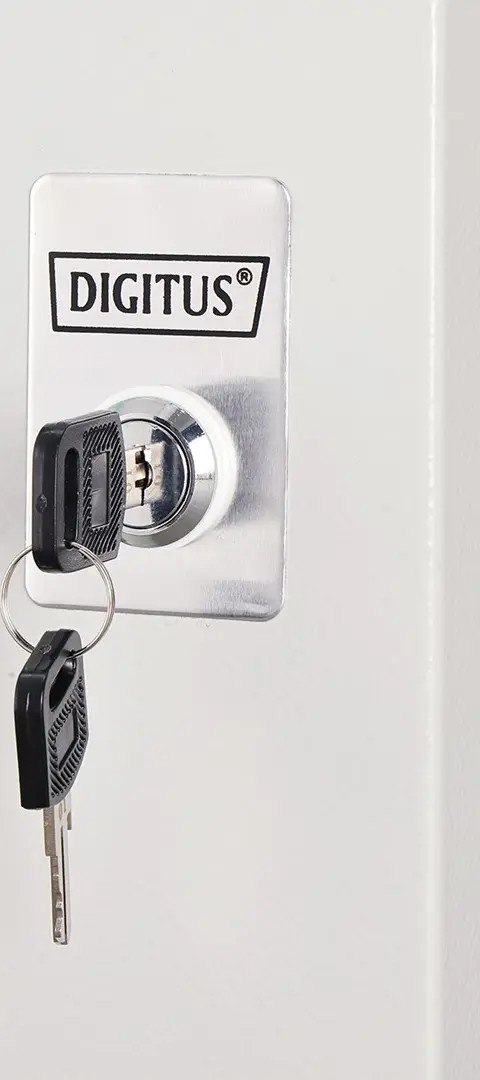 Wall-mounted enclosure Dynamic Basic series - 600x450 mm (WxD)