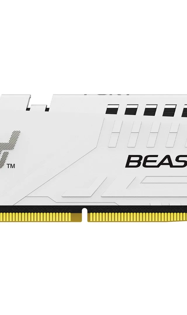 Kingston Technology FURY Beast 16GB 5600MT/s DDR5 CL40 DIMM White XMP