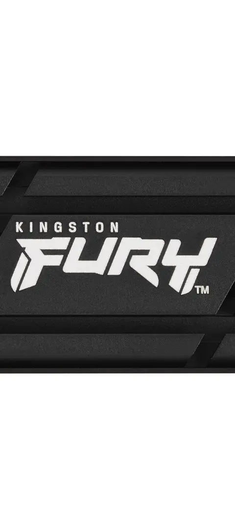Kingston Technology 2000G RENEGADE PCIe 4.0 NVMe SSD W/ HEATSINK