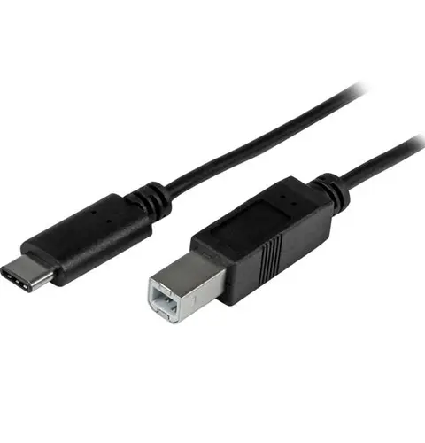 StarTech.com USB-C to USB-B Cable - M/M - 2 m (6 ft.) - USB 2.0