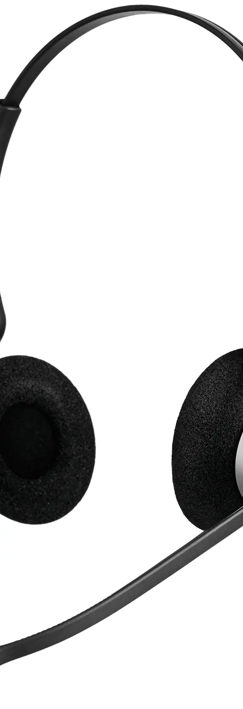 Jabra Biz 2300 Duo USB-C MS