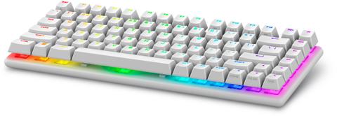 Alienware Pro Wireless Gaming keyboard USB + RF Wireless + Bluetooth White