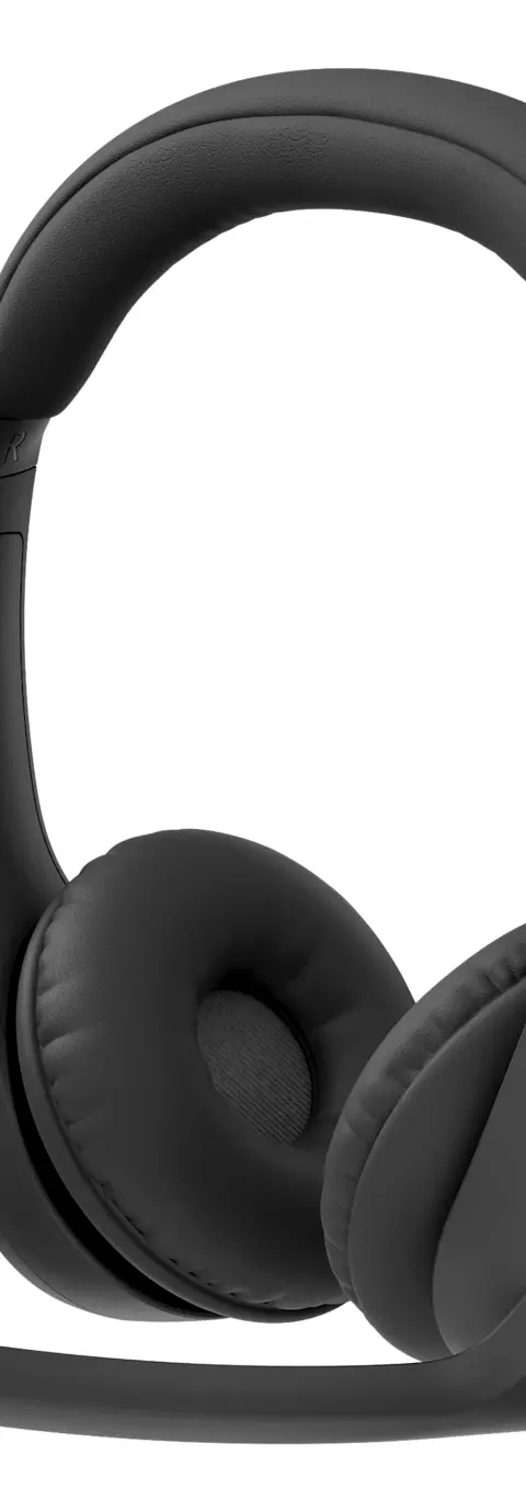 Logitech Zone 305