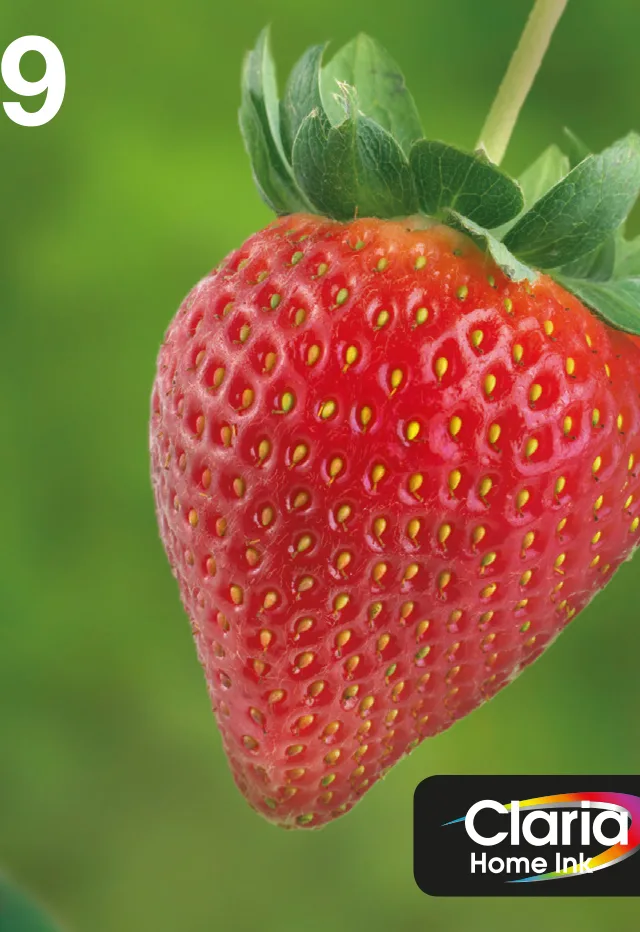 Epson Strawberry Multipack 4-colours 29 EasyMail