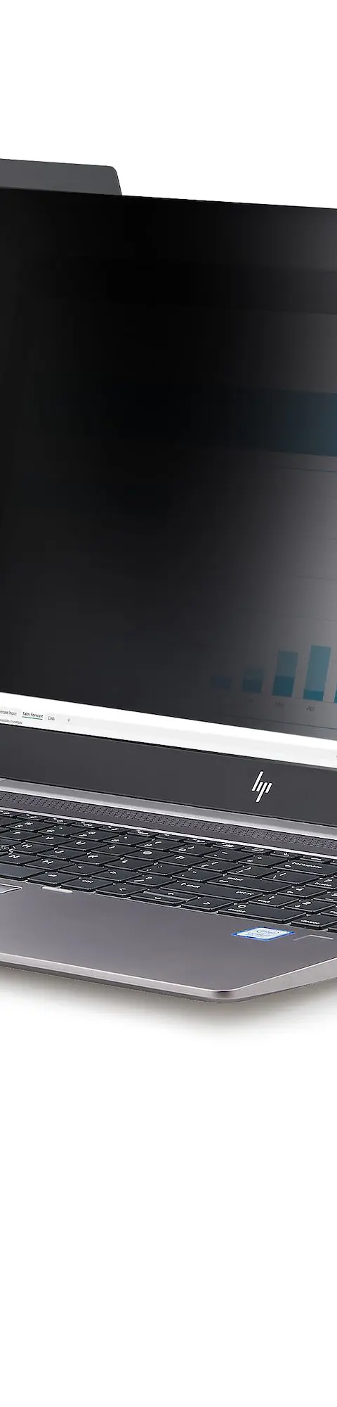 StarTech.com STARTECH 40.6 cm (16") Laptop Frameless display privacy filter
