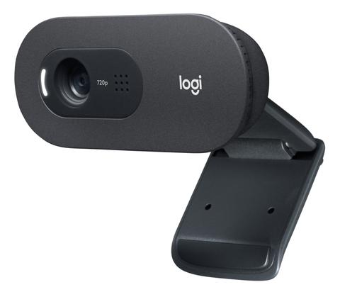 Logitech C505e