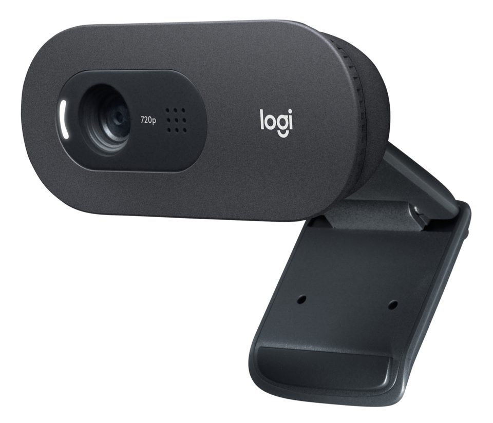 Logitech C505e