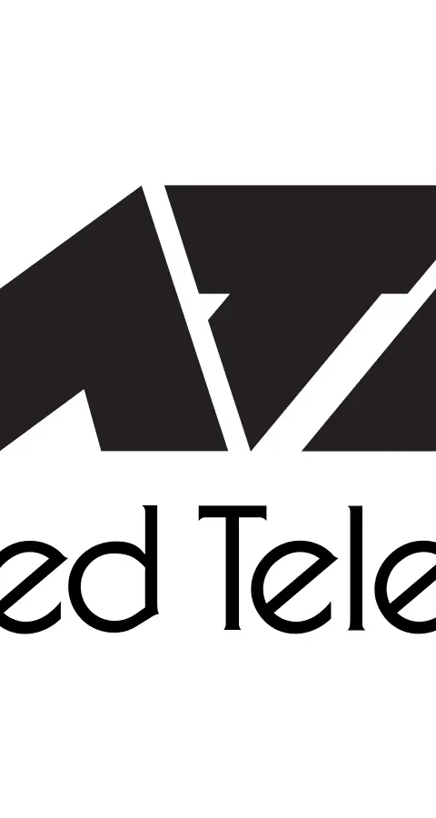 Allied Telesis AT-X250-10XTM-NCES1 IT support service