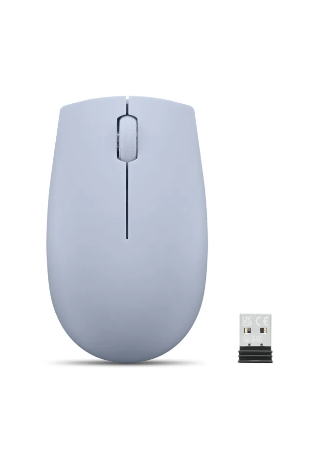 Lenovo 300 mouse Office Ambidextrous RF Wireless Optical 1000 DPI