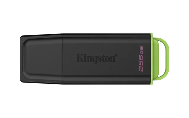 Kingston Technology DataTraveler 256GB Portable USB 3.2 Gen 1 Exodia Black/Green