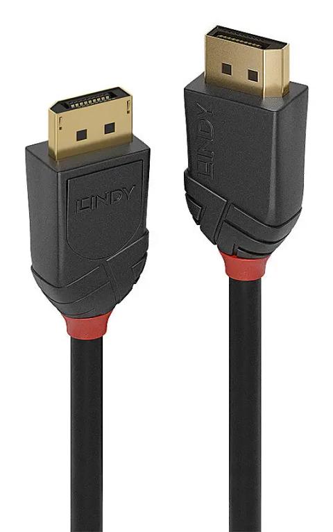 Lindy 36517 DisplayPort cable 2 m Black