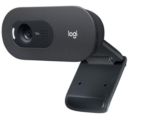 Logitech C505 HD Webcam